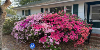 519 32nd Ave. N Gallery 1