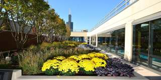 65 E Monroe Street Gallery 28