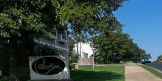 Cheshire Garden Gallery 29