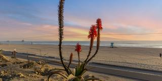 Ocean Breeze Terrace Gallery 31