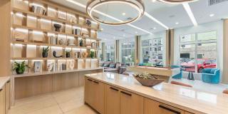 Marlowe Palomar Heights Gallery 33