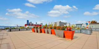 Pratt Park Apartments Gallery 25