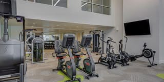 Harmony 3900 Gallery 26