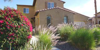 40804 Treasure City Lane 40804 Treasure City Lane Gallery 1
