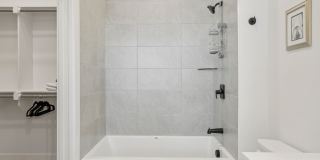 6418 Maple Gallery 52