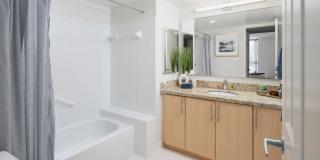 The Magnolia Gallery 29