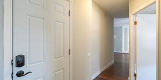 Bright 2BR/1BA First-Floor Apartment in West Oak Lane — Pets Welcome, Water Included Gallery 15