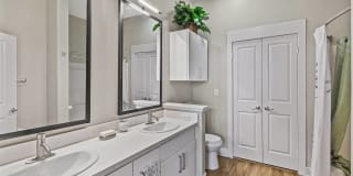 The Madison at Town Center Gallery 7