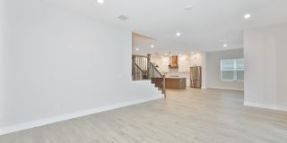 5/5 Gorgeous Brand New Residence in South Tampa Gallery 13