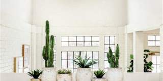 The Arbors of Wells Branch Apartments The Arbors of Wells Branch Apartments Gallery 28