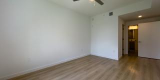 Caroline at Golden Glades Gallery 50