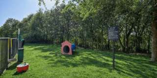 Vine and Vail Gallery 35