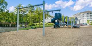 Abbey Lane Gallery 12