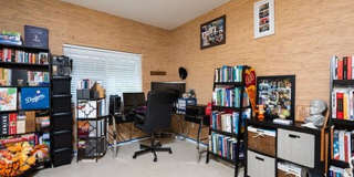 Coconut Plantation Gallery 21