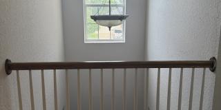 2914 River Birch Drive Gallery 46