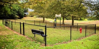 Bay Hills Gallery 17