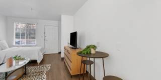 Vivo Living Arbor View Vivo Living Arbor View Gallery 3