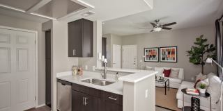 Canyon View Gallery 1