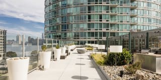 Liberty Towers Gallery 23