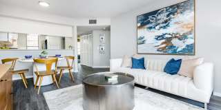 Solana Vista Gallery 27