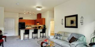Redmond Square Gallery 40