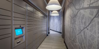 Luminary at One Light Gallery 24