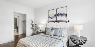The Daley at Shady Grove Apartments Gallery 6