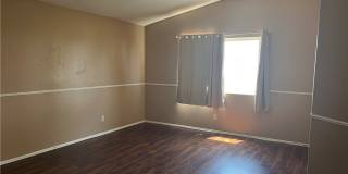 15177 Dandelion Gallery 20