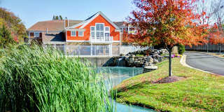 Austin Springs Gallery 2