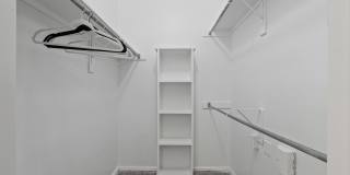 Grapevine Twenty Four 99 Gallery 17