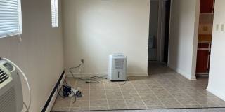 Graduate and Professional Gallery 168