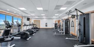 The Cosmopolitan at Reston Town Center Gallery 37