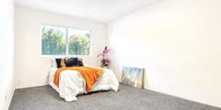 2365 Fallingtree Drive Gallery 14