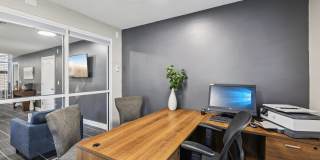 The Ashley Gallery 10