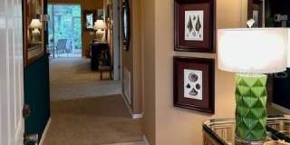 9611 CASTLE POINT DRIVE Gallery 12