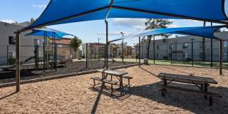 Sierra Walk Gallery 14