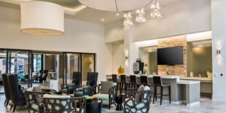 Palmetto Promenade Gallery 21