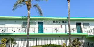 Oasis Gallery 4