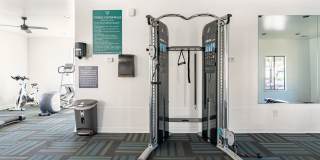 Verde Vue Gallery 12