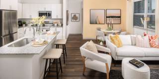 The Carmina Gallery 4