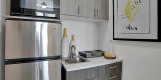 The Novelist Gallery 18