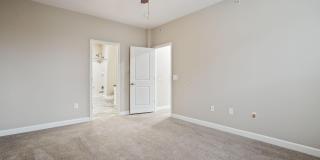 5137 Foxtail Pine Street Gallery 28