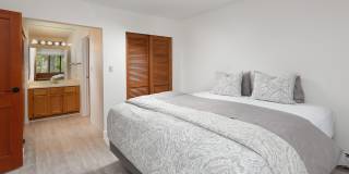 335 Vine Street unit: 335 Gallery 11