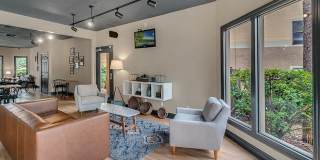 Sabal Palm at Lake Buena Vista Gallery 22