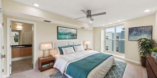 3405 W SWANN AVENUE Gallery 6