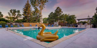 Elm at Panorama Gallery 18