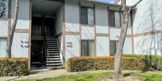 Cozy 2 Bedroom Ground Level Condo In The Highly Desirable New Park Village Community in Newark Gallery 3