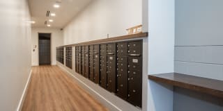 The Hooper Gallery 31