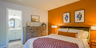 Treehouse Apartments Gallery 10