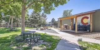 Village Green Gallery 16